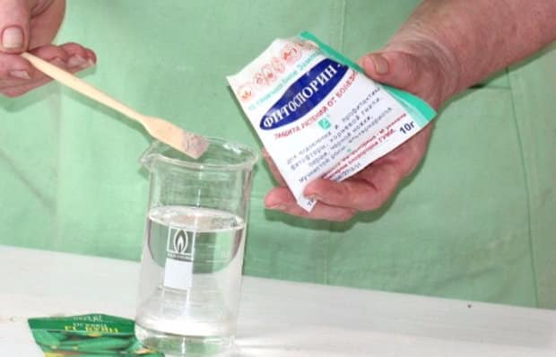 solution de désinfection