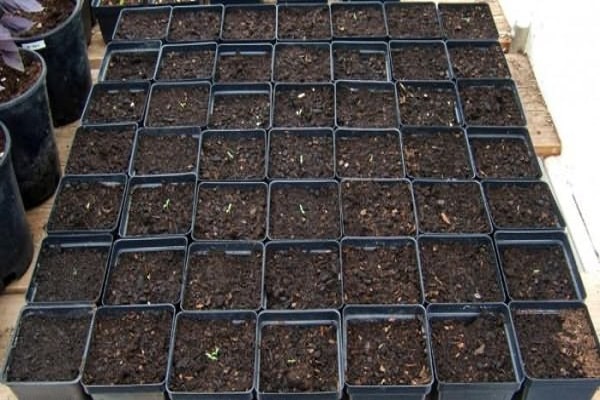 humidité de la terre