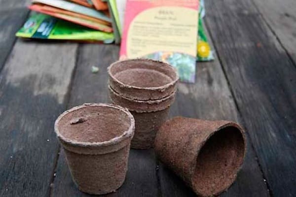 faire tremper les graines