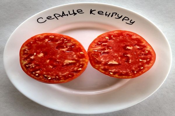 tomate sur une assiette