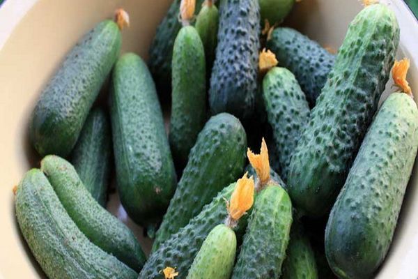 description des variétés