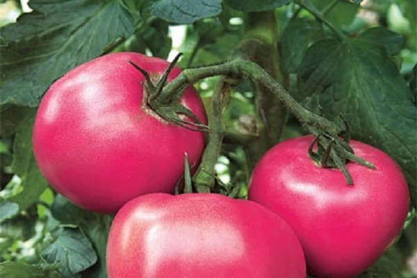 gardeners appreciated