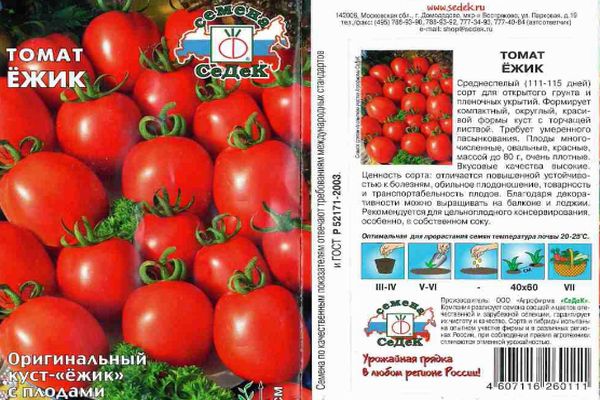 Graines de tomates
