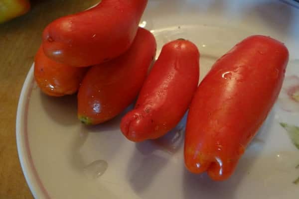 susceptibilité à la maladie