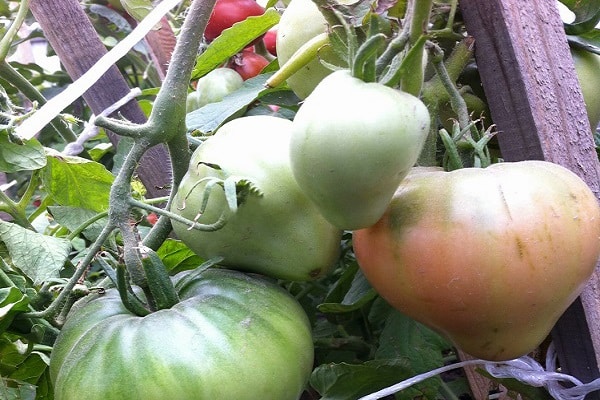 Produkte kombinieren