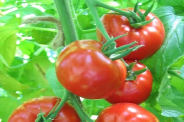 Kommissionierung ist erforderlich