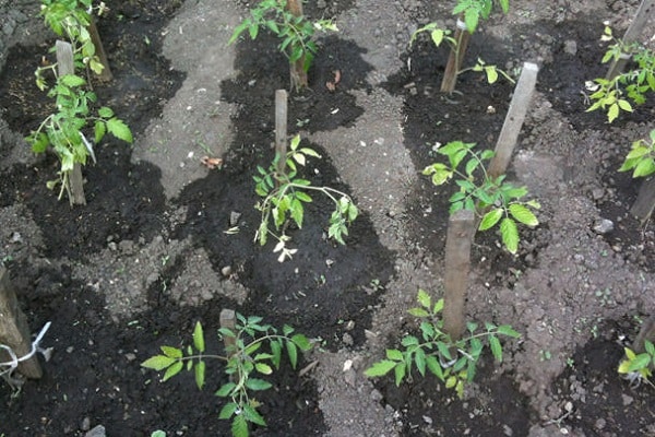 Empfehlungen der Nachbarn