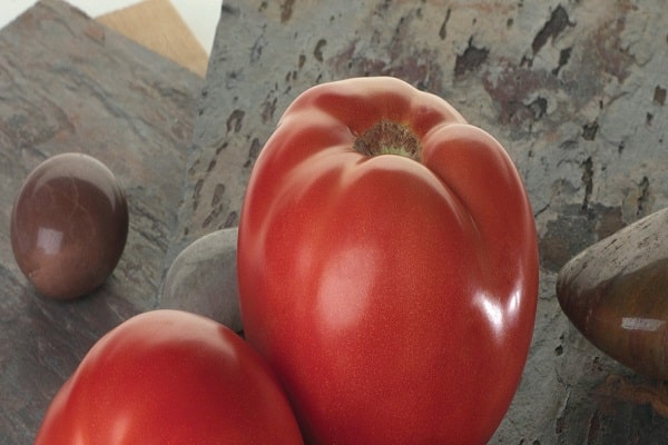 marktfähiger Zustand