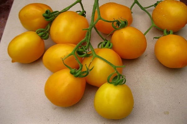 installation de supports