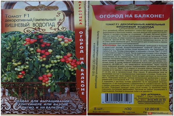 les germes vont percer