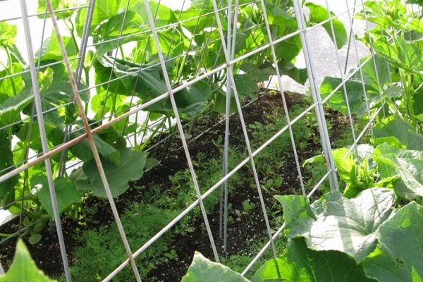 Die Peitsche wird erreichen