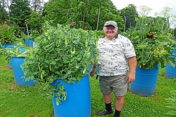 dekorieren Sie die Website