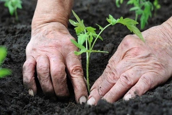 Geheimnisse der Anpassung