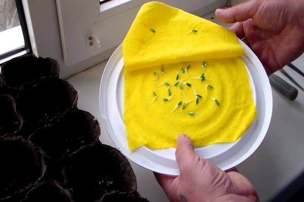 Pflanzen nach Kalender