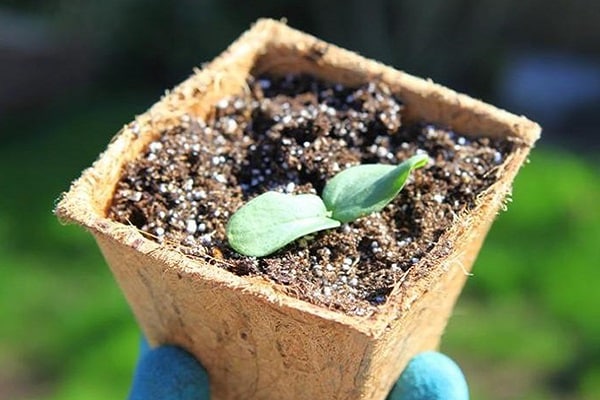 der Moment der Landung