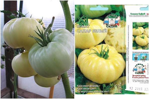 sucre blanc aspect tomate