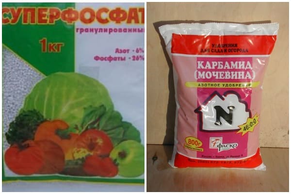 Superphosphate and urea