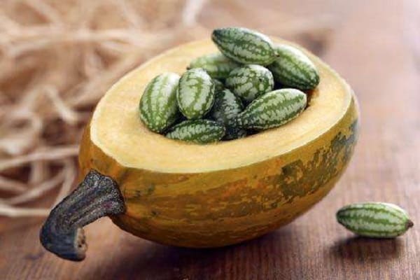 medizinische Eigenschaften