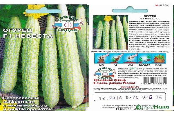 wächst in einem Gewächshaus