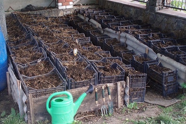 la boîte se remplira