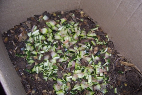 activités horticoles