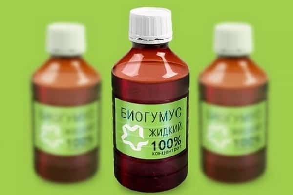 vermicompost liquéfié