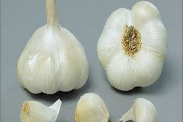 légèrement différent