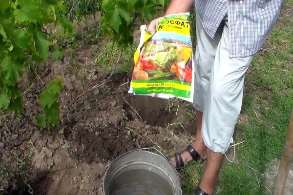 incorrect application