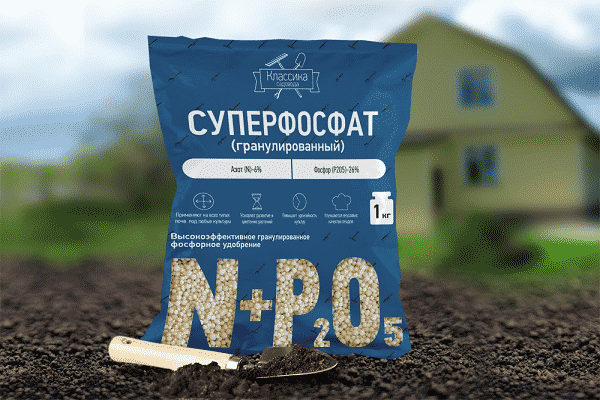 popular top dressing