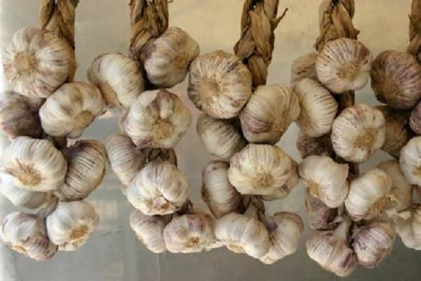 ail dans la cave