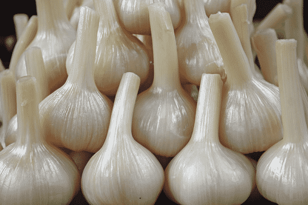 liquide paraffinique