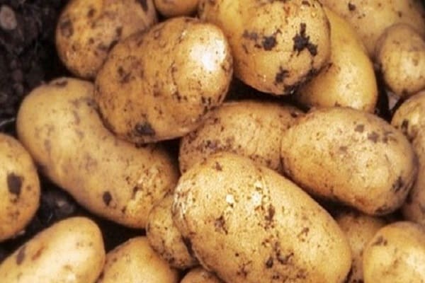 Abwechslung in der Zwischensaison