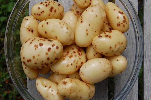 mesures préventives