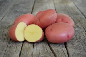 Description de la variété de pomme de terre Rodrigo, ses caractéristiques et recommandations de culture