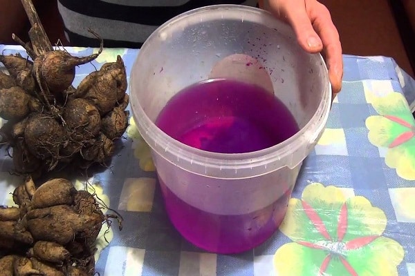 mesures préventives