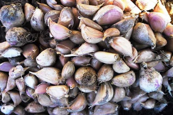 Zwischensaison Sofievsky