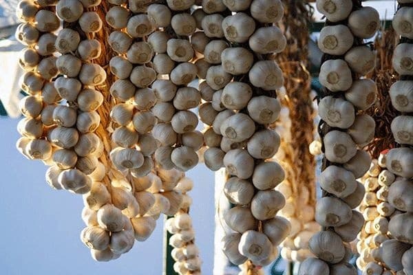 Vorbereitung für die Lagerung