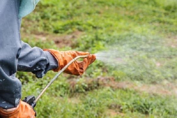 Unkrautbekämpfung