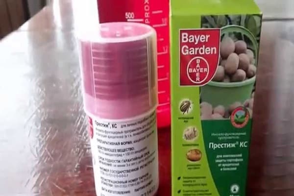 professioneller Schutz