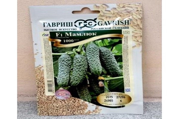 Mamelouk F1 à maturation précoce