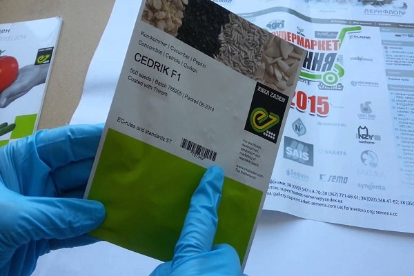 Description du cultivar de concombre Cedric F1, ses caractéristiques et son rendement