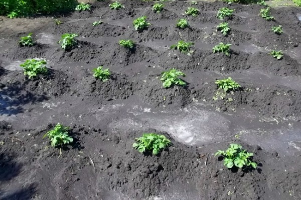 richtig zusammenkauern