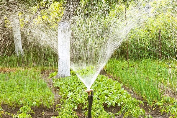 unabhängig von Elektrizität