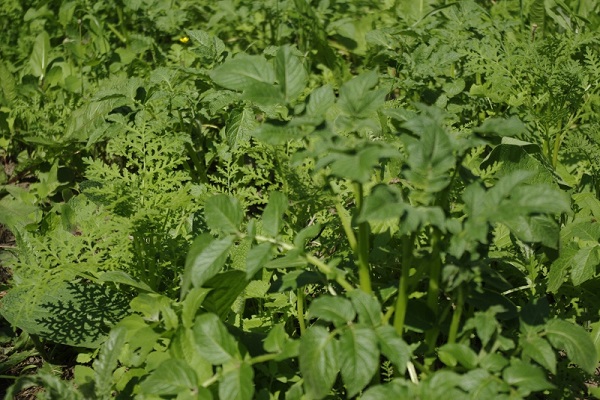 Conditions favorables