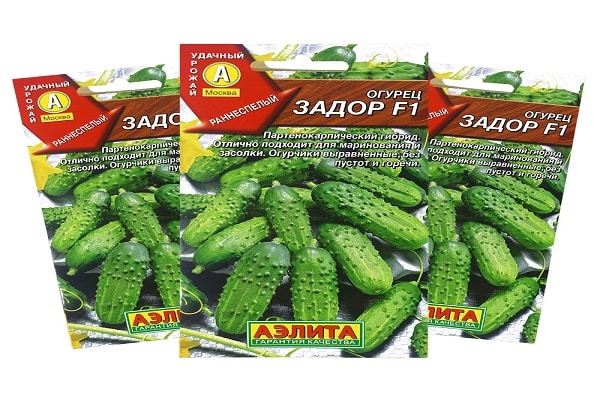 pour la nouvelle année