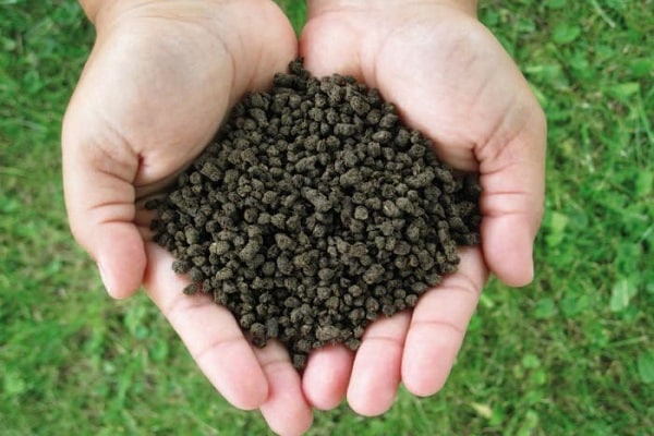 variétés de compositions