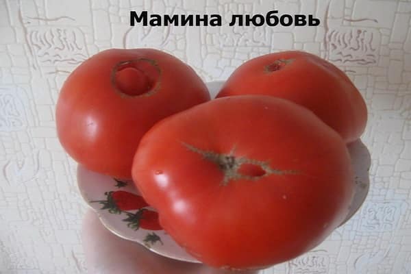 exclusions de variétés