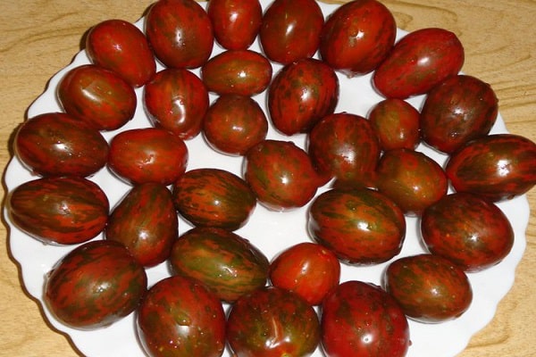 sommets des buissons