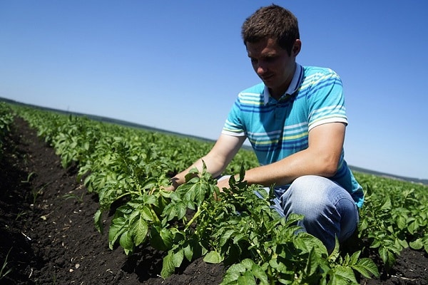 auf Websites gefunden