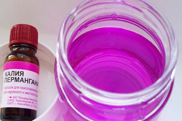 Schädlingsbekämpfung